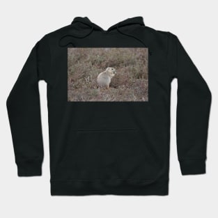 Prairie Dog Hoodie